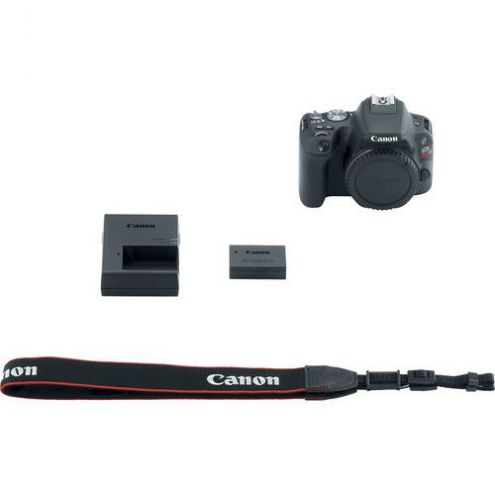 Canon EOS Rebel SL2 DSLR Camera (Body)