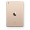 Apple -MH3G2LL/A 16GB iPad mini 3