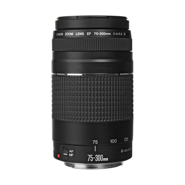 Canon EF 75-300mm f/4-5.6 III Lens