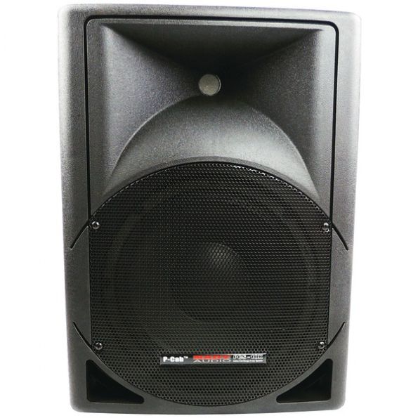 Nady Pcab 2wyspkr 10in Woofer