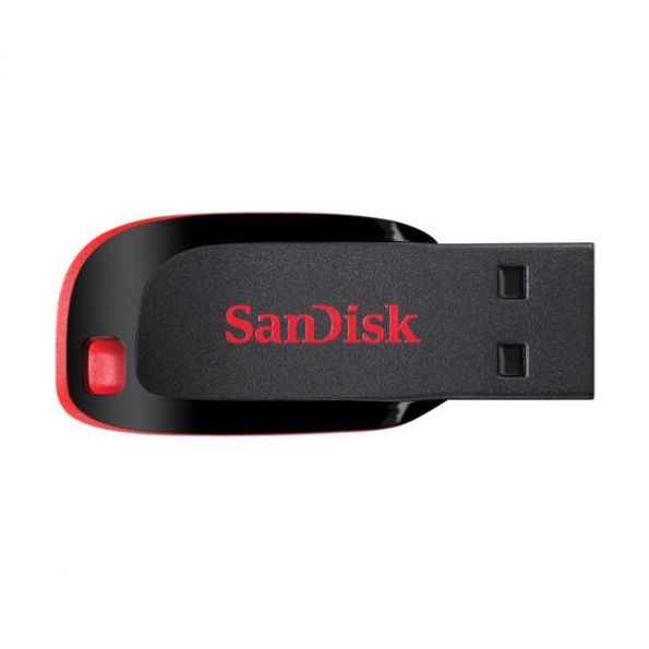 SanDisk 32GB Cruzer Blade USB Flash Drive