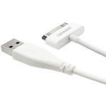Lenmar 30pn To Usb Cable Wht