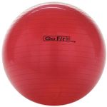 Gofit 55cm Exercise Ball With