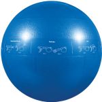 Gofit 55cm Pro Stability Ball