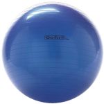 Gofit 75cm Exercise Ball With