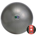 Gofit 75cm Pro Stability Ball