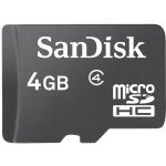 Sandisk Micro Sdhc Card Only 4gb
