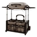 Char-Broil -12401590 Grill2Go Ice Gas Grill